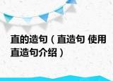 直的造句（直造句 使用直造句介紹）