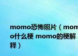 momo恐怖照片（momo什么梗 momo的梗解釋）