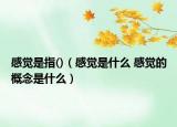 感覺(jué)是指()（感覺(jué)是什么 感覺(jué)的概念是什么）