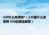 530什么意思啊?（530是什么意思啊 530的網(wǎng)絡(luò)解釋）