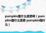 pumpkin是什么意思?。╬umpkin是什么意思 pumpkin指什么）