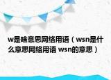 w是啥意思網絡用語（wsn是什么意思網絡用語 wsn的意思）