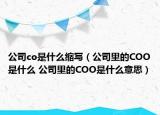 公司co是什么縮寫（公司里的COO是什么 公司里的COO是什么意思）