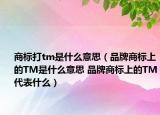 商標打tm是什么意思（品牌商標上的TM是什么意思 品牌商標上的TM代表什么）