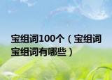 寶組詞100個(gè)（寶組詞 寶組詞有哪些）