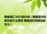 網絡詞匯2023流行語（網絡流行語屌絲是什么意思 網絡流行語屌絲的含義）