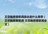 王菲我愿意歌詞表達(dá)是什么意思（王菲我愿意歌詞 王菲我愿意歌詞全文）