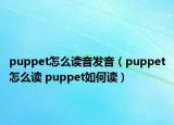 puppet怎么讀音發(fā)音（puppet怎么讀 puppet如何讀）