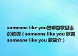 someone like you是哪首歌里面的歌詞（someone like you 歌詞 someone like you 歌簡介）