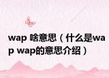 wap 啥意思（什么是wap wap的意思介紹）