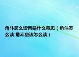 角斗怎么讀音是什么意思（角斗怎么讀 角斗應(yīng)該怎么讀）