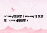 noway啥意思（noway什么意思 noway的意思）