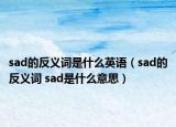 sad的反義詞是什么英語（sad的反義詞 sad是什么意思）