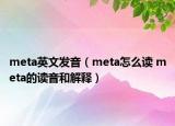 meta英文發(fā)音（meta怎么讀 meta的讀音和解釋）