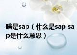 啥是sap（什么是sap sap是什么意思）