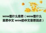 wow是什么意思（wow是什么意思中文 wow的中文意思簡述）