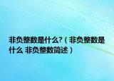 非負(fù)整數(shù)是什么?（非負(fù)整數(shù)是什么 非負(fù)整數(shù)簡(jiǎn)述）