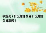 枚組詞（什么眉什么目 什么眉什么目組詞）