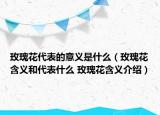 玫瑰花代表的意義是什么（玫瑰花含義和代表什么 玫瑰花含義介紹）