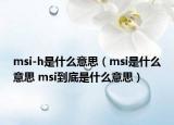 msi-h是什么意思（msi是什么意思 msi到底是什么意思）