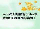 zebra怎么讀的英語（zebra怎么讀音 英語zebra怎么讀音）