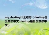 my destiny什么意思（destiny什么意思中文 destiny是什么意思中文）