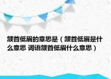 頷首低眉的意思是（頷首低眉是什么意思 詞語頷首低眉什么意思）