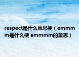 respect是什么意思梗（emmmm是什么梗 emmmm的意思）