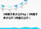 1噸等于多少公斤kg（1噸等于多少公斤 1噸是幾公斤）