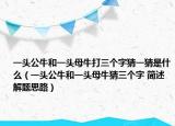 一頭公牛和一頭母牛打三個(gè)字猜一猜是什么（一頭公牛和一頭母牛猜三個(gè)字 簡(jiǎn)述解題思路）