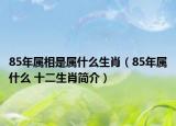 85年屬相是屬什么生肖（85年屬什么 十二生肖簡(jiǎn)介）