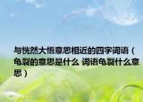 與恍然大悟意思相近的四字詞語（龜裂的意思是什么 詞語龜裂什么意思）