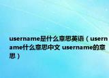 username是什么意思英語（username什么意思中文 username的意思）