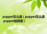 puppet怎么讀（puppet怎么讀 puppet如何讀）