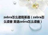 zebra怎么讀用英語（zebra怎么讀音 英語zebra怎么讀音）