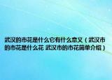 武漢的市花是什么它有什么意義（武漢市的市花是什么花 武漢市的市花簡單介紹）