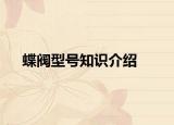蝶閥型號知識介紹