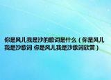 你是風(fēng)兒我是沙的歌詞是什么（你是風(fēng)兒我是沙歌詞 你是風(fēng)兒我是沙歌詞欣賞）