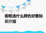 櫥柜選什么顏色好看知識介紹