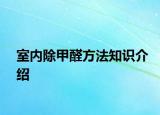 室內(nèi)除甲醛方法知識(shí)介紹