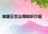 堵漏王怎么用知識介紹