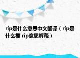 rip是什么意思中文翻譯（rip是什么梗 rip意思解釋）