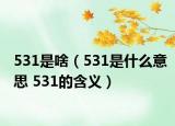 531是啥（531是什么意思 531的含義）