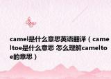 camel是什么意思英語翻譯（cameltoe是什么意思 怎么理解cameltoe的意思）