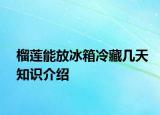 榴蓮能放冰箱冷藏幾天知識介紹