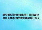 司馬青衫司馬指的是誰(shuí)（司馬青衫是什么意思 司馬青衫典故是什么）