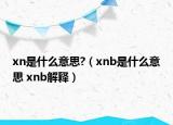 xn是什么意思?（xnb是什么意思 xnb解釋）