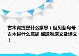 古木青提是什么意思（但見(jiàn)悲鳥(niǎo)號(hào)古木是什么意思 蜀道難原文及譯文）