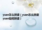 yuan怎么拼讀（yuan怎么拼讀 yuan如何拼讀）