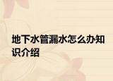 地下水管漏水怎么辦知識介紹